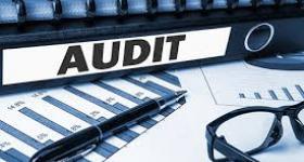 Audit Assessment of Dealers